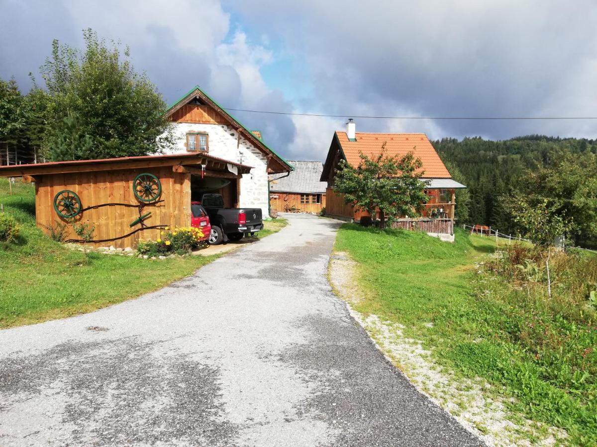 Ferienhaus FRIEDLHOF Langschlag  Exterior foto