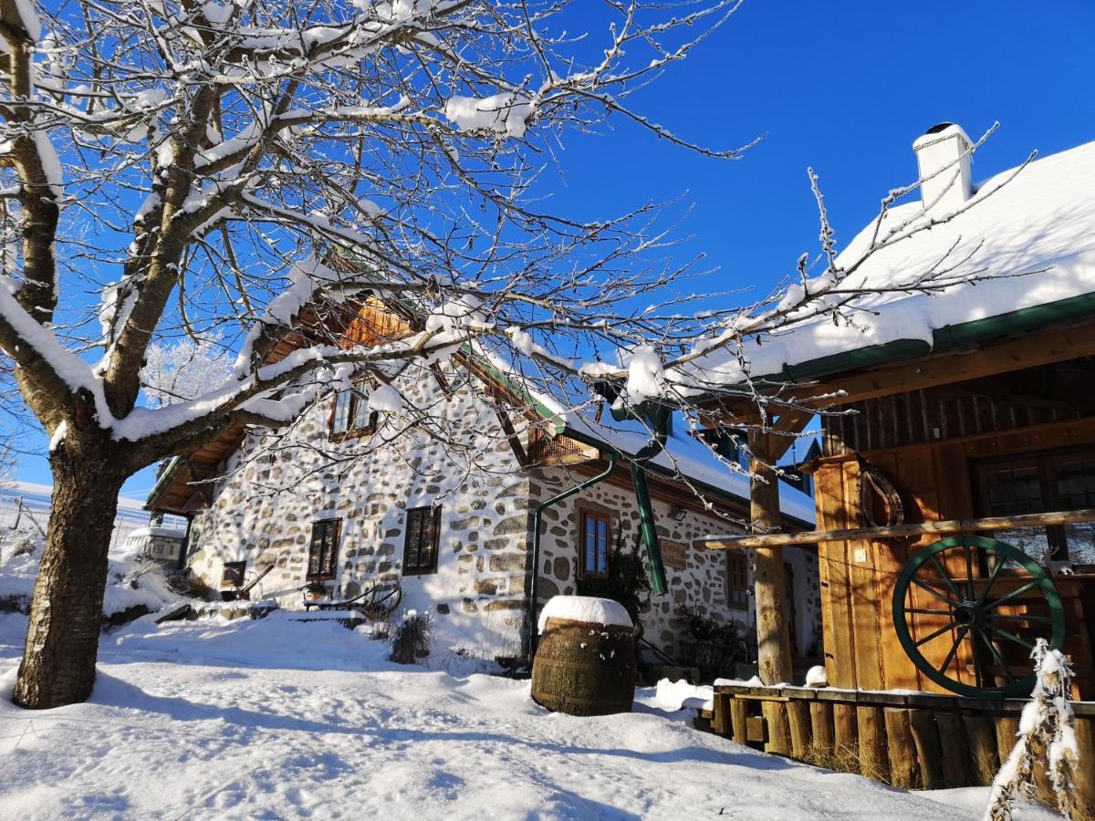 Ferienhaus FRIEDLHOF Langschlag  Exterior foto